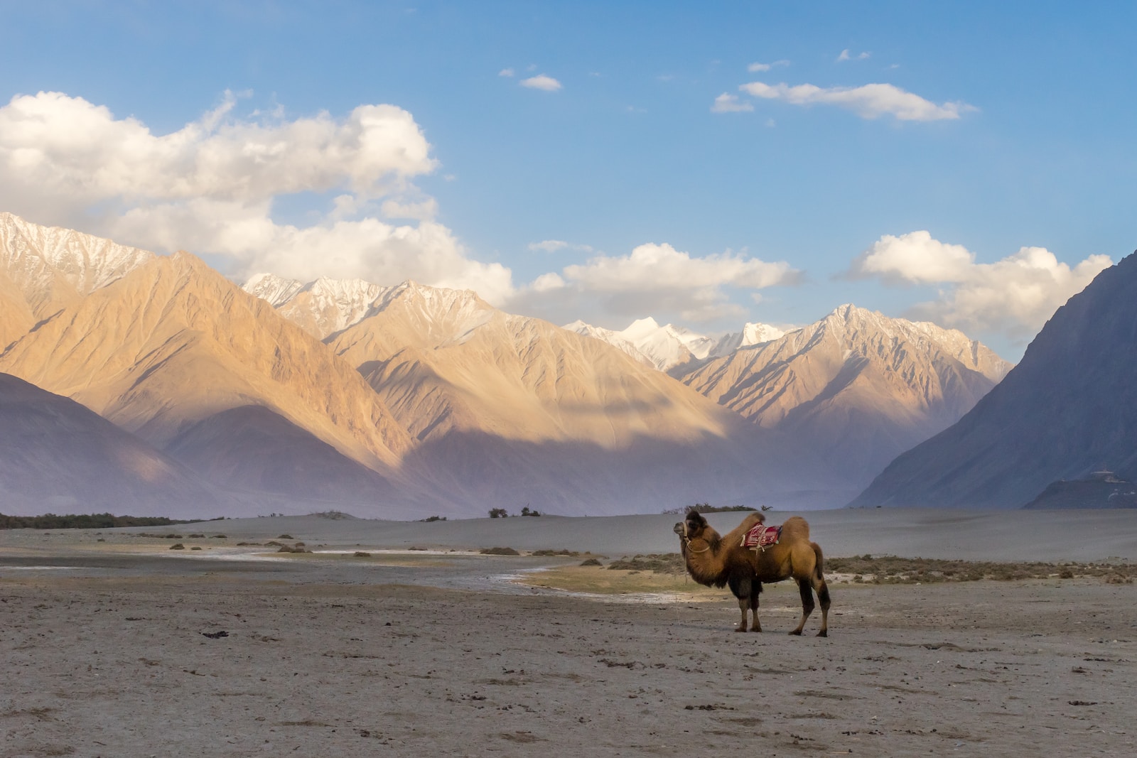 How many days it takes for Ladakh bike trip