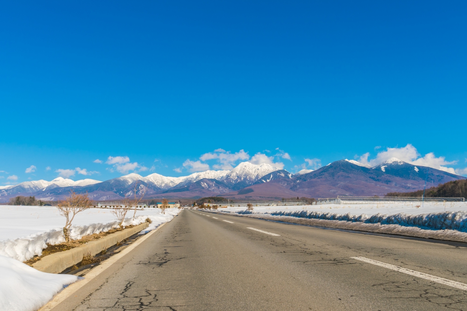 Guide to Ladakh