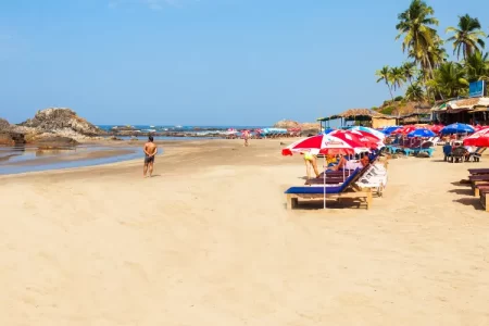 Goa Family Tour With Butterfly Beach