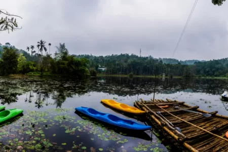 Kerala Sightseeing Tour - To The Kerala Backwaters