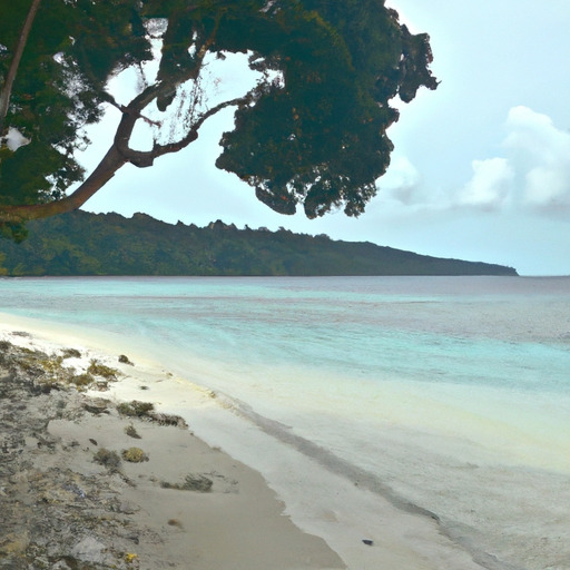 Explore the Pristine Beaches of Andaman Islands