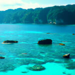 How much does Andaman trip cost?