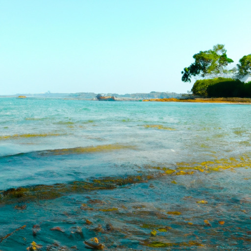 Baratang Island: A Hidden Paradise in Andaman's Untouched Beauty