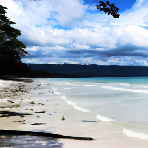 Radhanagar Beach: Paradise Found in India's Andaman Islands