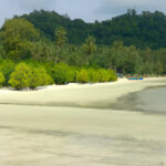 Havelock Island tourism: Where Blissful Beaches and Thrilling Water Sports Meet