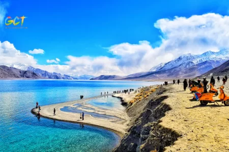 Pangong Tour Packages