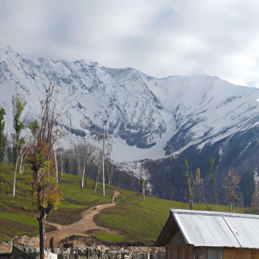 Kashmir Honeymoon: A Journey Closer to Nature and Each Other