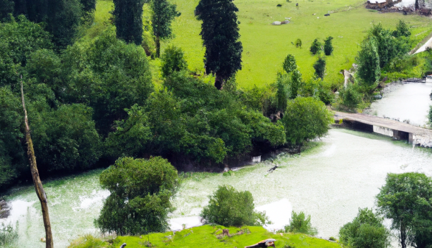 Srinagar to Sonamarg