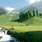 Which is better sonmarg or Gulmarg?